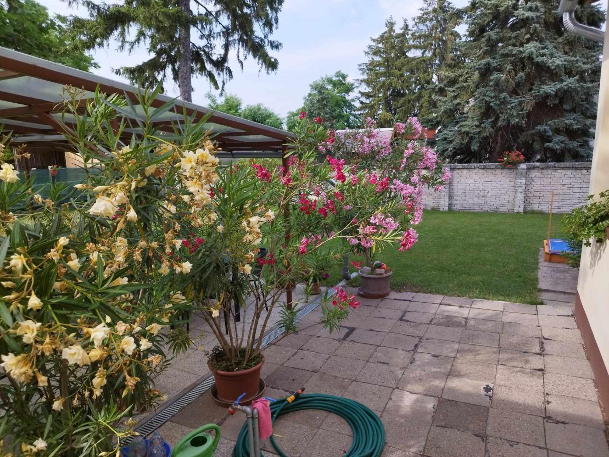 Tartos Szegfu Vendeghaz, Maganszallas Tazlar Buitenkant foto