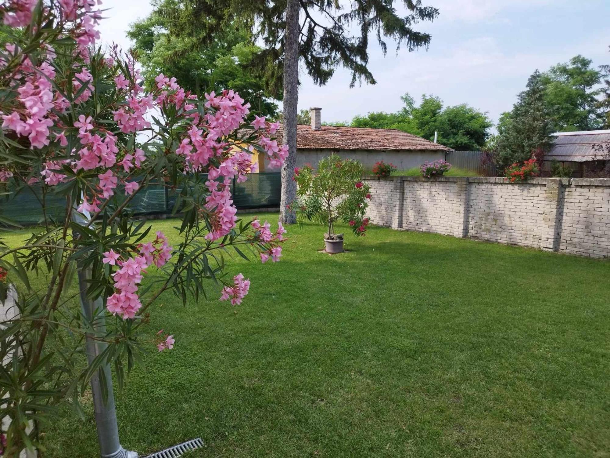 Tartos Szegfu Vendeghaz, Maganszallas Tazlar Buitenkant foto