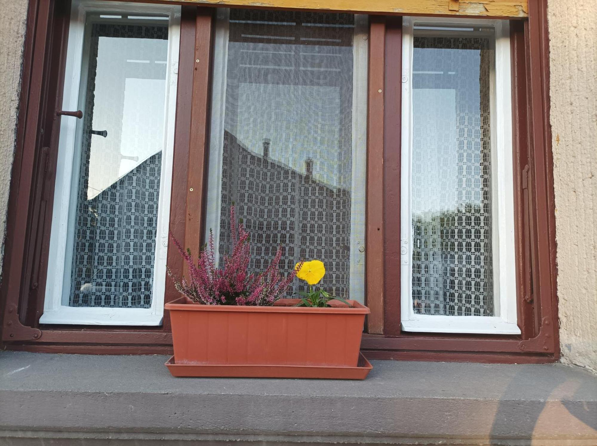 Tartos Szegfu Vendeghaz, Maganszallas Tazlar Buitenkant foto